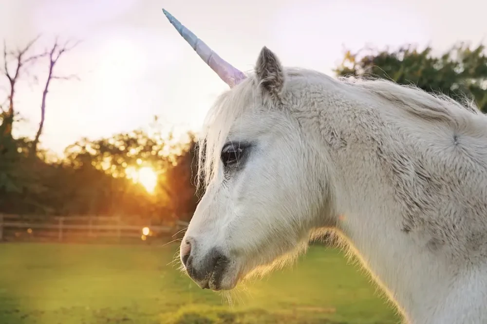 Onlineworkshop paradoxe Interventionen - systemisch remote